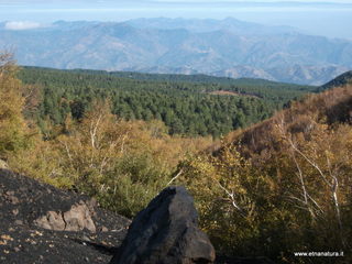 llone monte Zappinazzo-04-11-2012 10-15-39